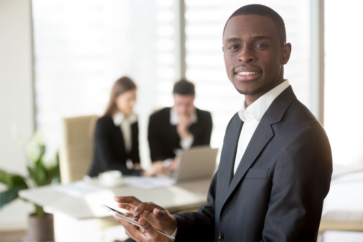 Professional business consultation
